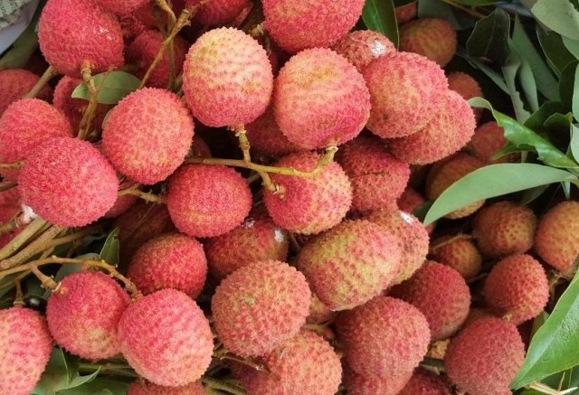 "ล้งไทย" MATA Fruitland อ้าแขนรับซื้อผลไม้ ช่วยชาวสวน!