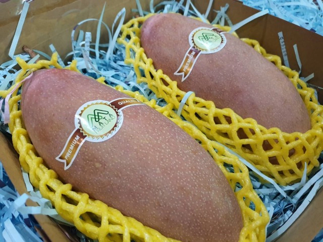 "ล้งไทย" MATA Fruitland อ้าแขนรับซื้อผลไม้ ช่วยชาวสวน!