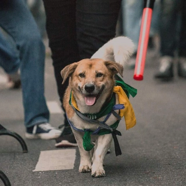 สุดเศร้า! "พี่เตี้ย มช." จากไปแล้ว