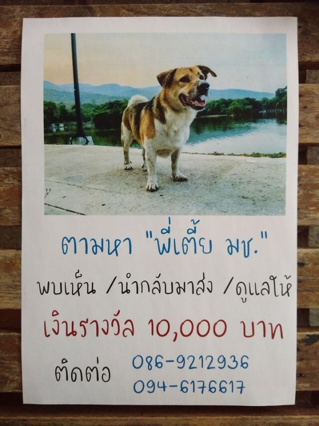 ยังไม่พบตัว "พี่เตี้ย มช." หลังหายตัวไปกว่า 2 วัน
