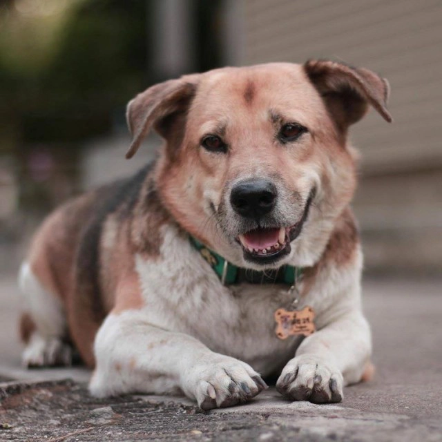 พบร่าง "พี่เตี้ย" ในป่าข้างทาง ยังไม่ยืนยันสาเหตุการตาย