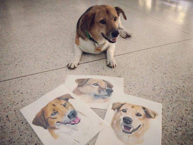 พบร่าง "พี่เตี้ย" ในป่าข้างทาง ยังไม่ยืนยันสาเหตุการตาย