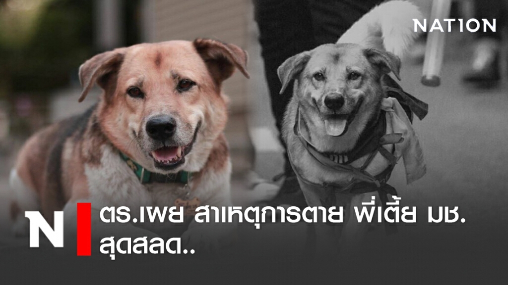 ผลชันสูตร "เตี้ย มช."ออกแล้ว หลังเกิดเหตุสลด