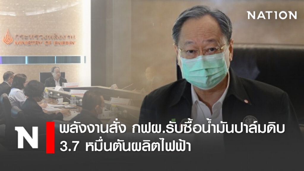 พลังงานสั่ง กฟผ.รับซื้อน้ำมันปาล์มดิบ 3.7 หมื่นตันผลิตไฟฟ้า