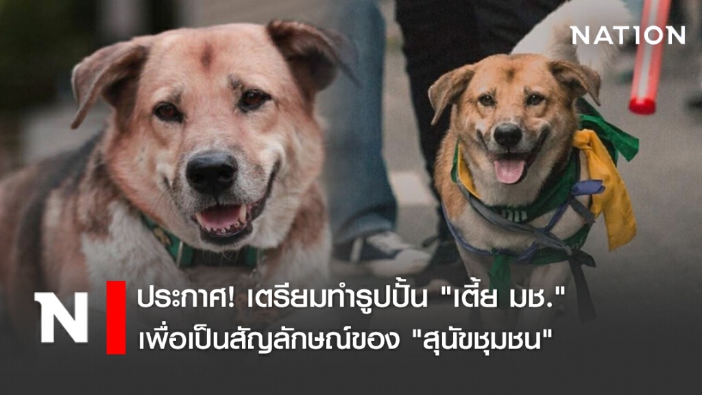 ประกาศ! เตรียมทำรูปปั้น "เตี้ย มช." เพื่อเป็นสัญลักษณ์ของ "สุนัขชุมชน"