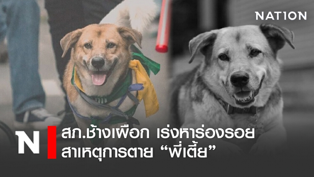 สภ.ช้างเผือก สอบสาเหตุการตาย เตี้ย มช.