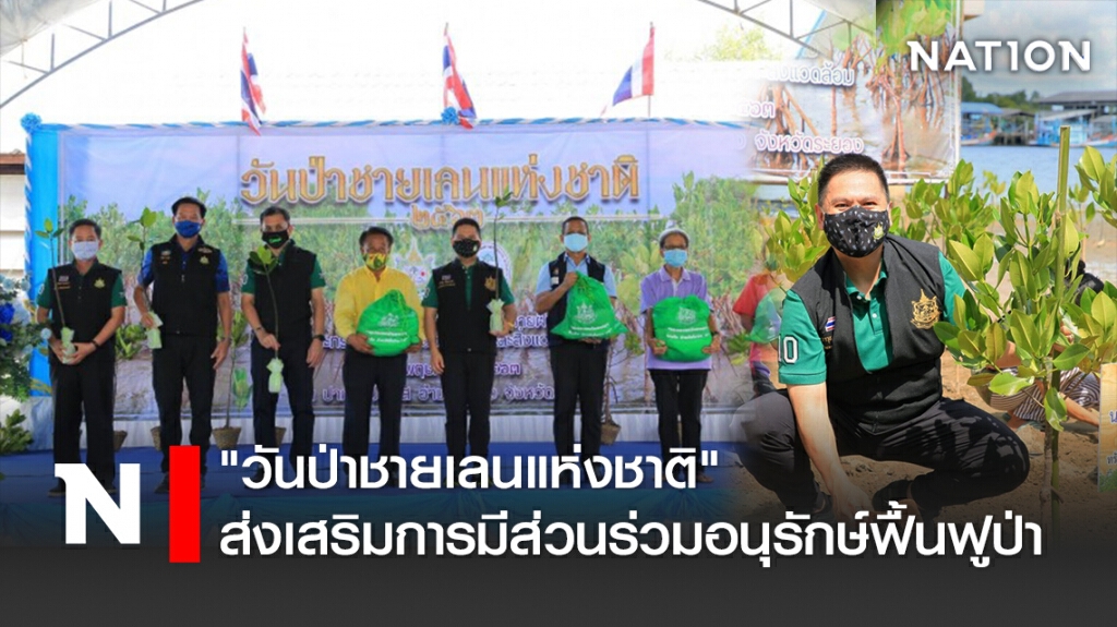 "วันป่าชายเลนแห่งชาติ" ส่งเสริมการมีส่วนร่วมอนุรักษ์ฟื้นฟูป่า