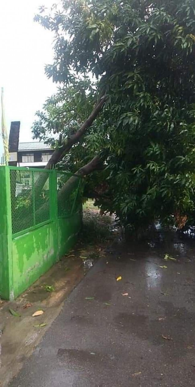 เปิดคลิปนาทีพายุฝน พัดถล่มขอนแก่น - ชัยภูมิ
