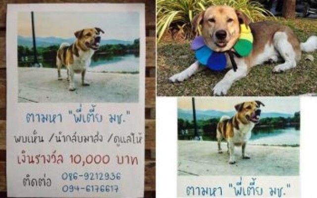 "ดี้ นิติพงษ์" ปวดใจ!! "เตี้ย มช." จากไปแล้ว
