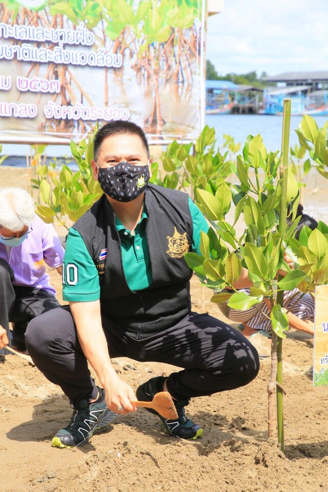 "วันป่าชายเลนแห่งชาติ" ส่งเสริมการมีส่วนร่วมอนุรักษ์ฟื้นฟูป่า