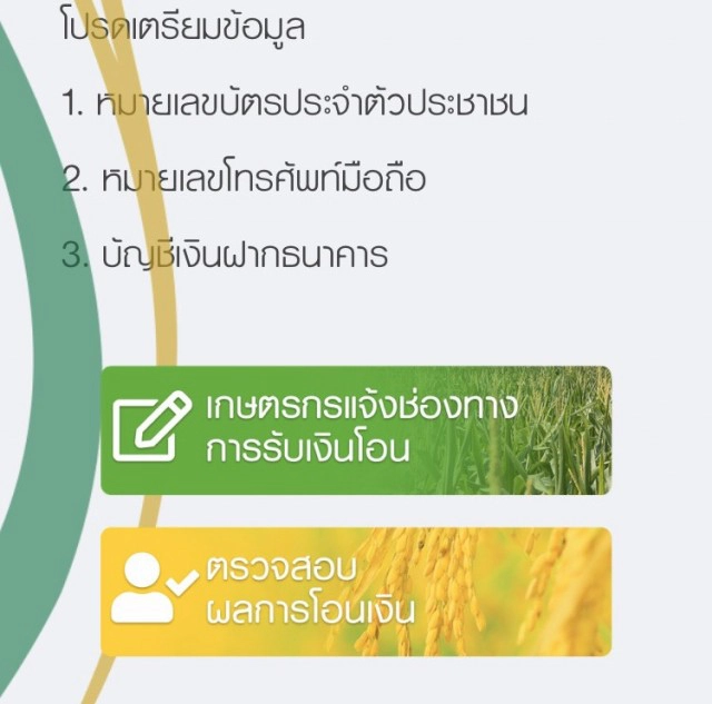 6 ขั้นตอนลงทะเบียน"www.เยียวยาเกษตรกร.com"รับ 15,000