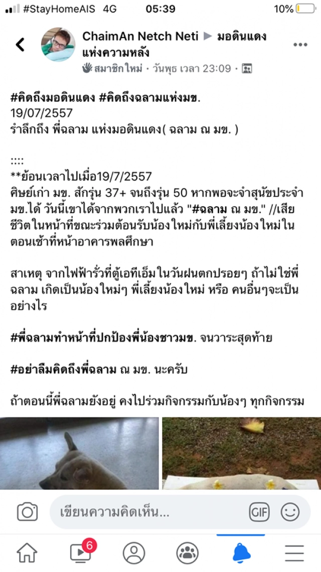 คิดถึง "ฉลาม มข." โศกนาฏกรรมของหมาจรขวัญใจก่อน "เตี้ย มช."