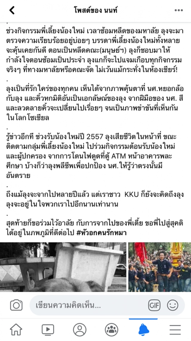 คิดถึง "ฉลาม มข." โศกนาฏกรรมของหมาจรขวัญใจก่อน "เตี้ย มช."