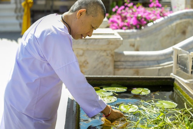 ศุกร์ (สุข) ละวัด วัดระฆังโฆสิตารามวรมหาวิหาร