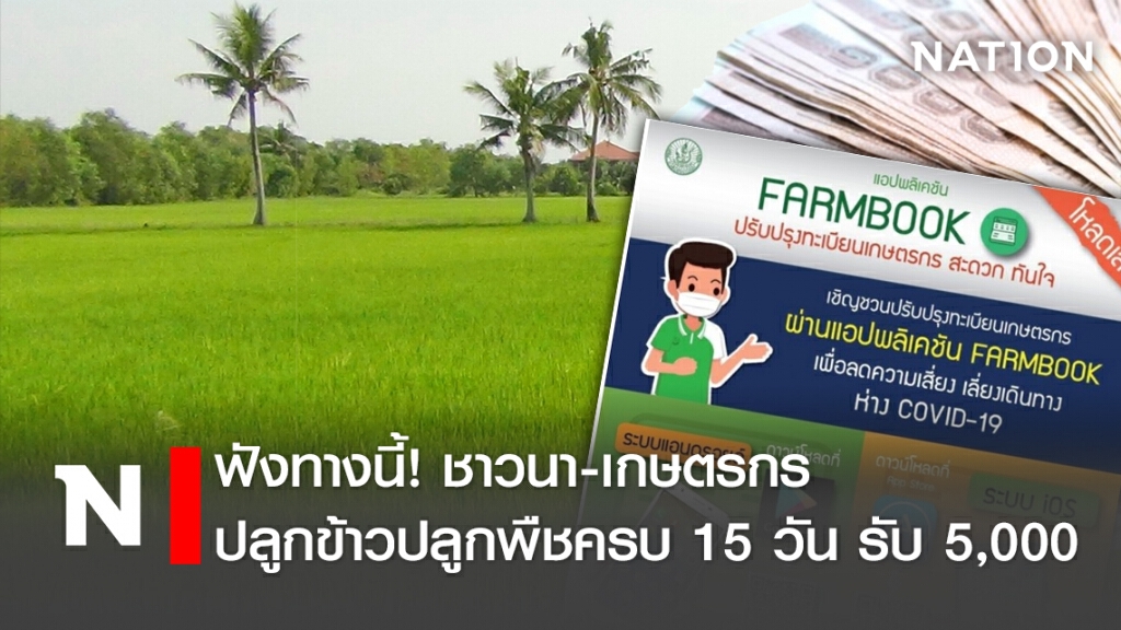 ฟังทางนี้!ชาวนา-เกษตรกรปลูกข้าวปลูกพืชครบ 15 วัน รับ5,000
