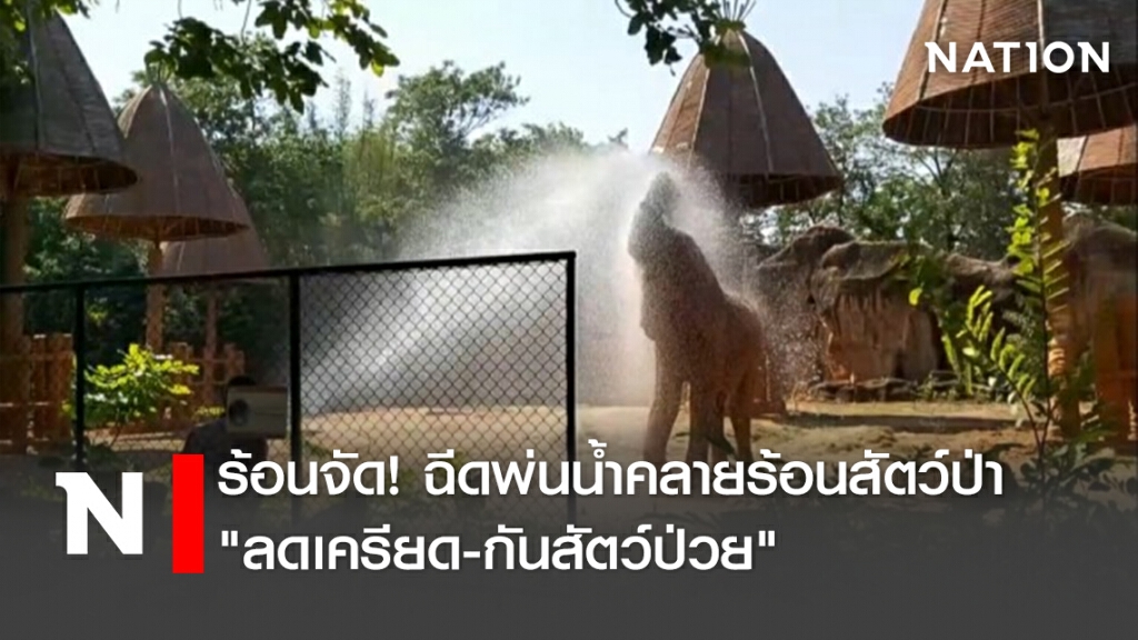 ร้อนจัด! ฉีดพ่นน้ำคลายร้อนสัตว์ป่า "ลดเครียด-กันสัตว์ป่วย"