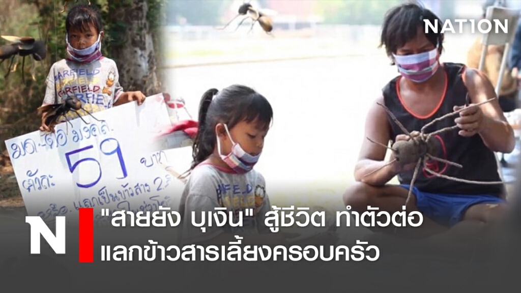 "สายยัง บุเงิน" สู้ชีวิต ทำตัวต่อแลกข้าวสารเลี้ยงครอบครัว