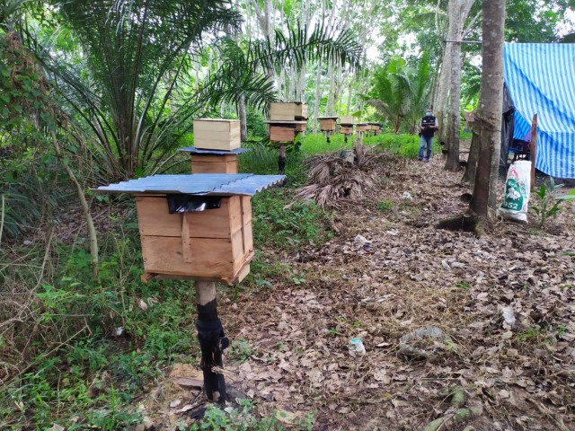 สุดยอด!! พ่อสร้างขนำกลางสวนยาง ให้ลูกกลับจากภูเก็ตกักตัว