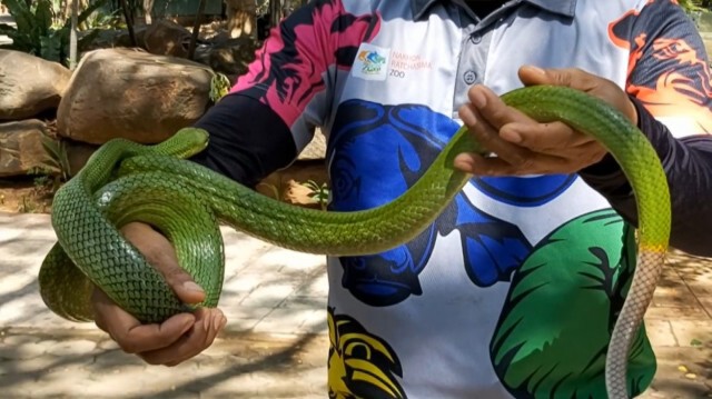 ร้อนจัด! ฉีดพ่นน้ำคลายร้อนสัตว์ป่า "ลดเครียด-กันสัตว์ป่วย"