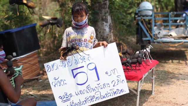 "สายยัง บุเงิน" สู้ชีวิต ทำตัวต่อแลกข้าวสารเลี้ยงครอบครัว