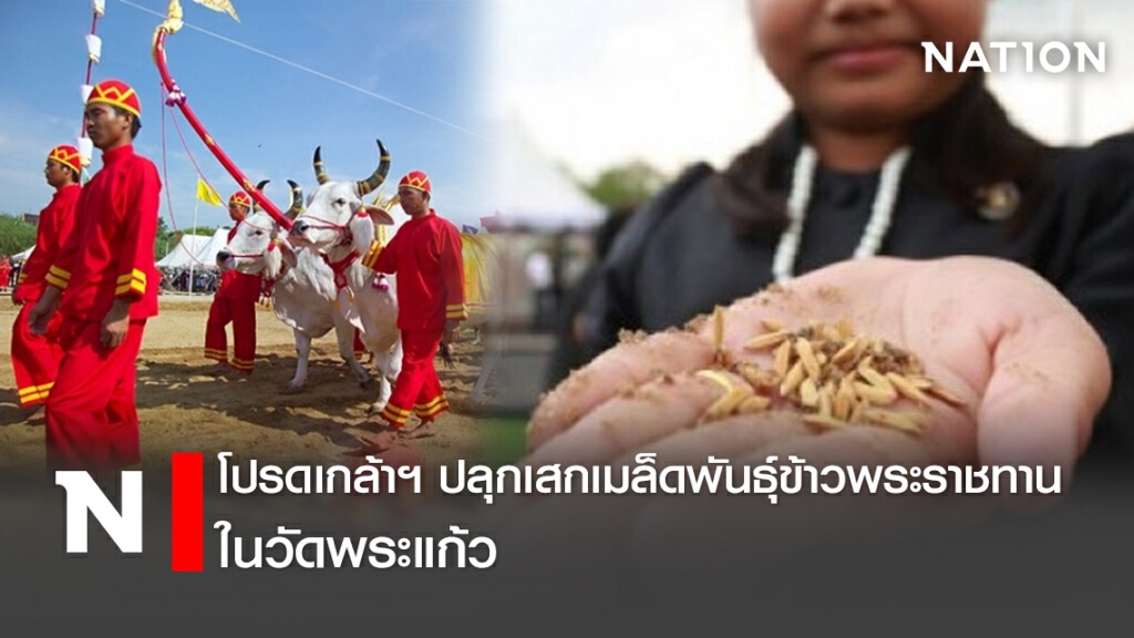 โปรดเกล้าฯ ปลุกเสกเมล็ดพันธุ์ข้าวพระราชทาน ในวัดพระแก้ว
