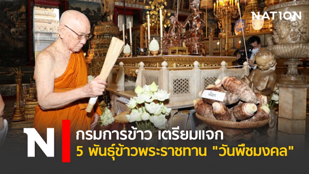 กรมการข้าว เตรียมแจก 5 พันธุ์ข้าวพระราชทาน "วันพืชมงคล"