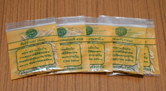 โปรดเกล้าฯ ปลุกเสกเมล็ดพันธุ์ข้าวพระราชทาน ในวัดพระแก้ว
