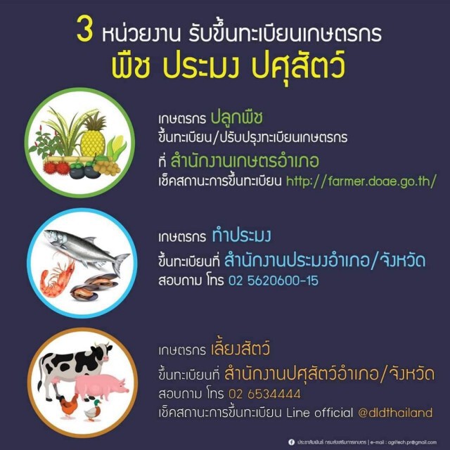 เตือนอาจเสียสิทธิ์ เยียวยาเกษตรกร หากข้อมูลไม่อัปเดตใน 3 ปี!