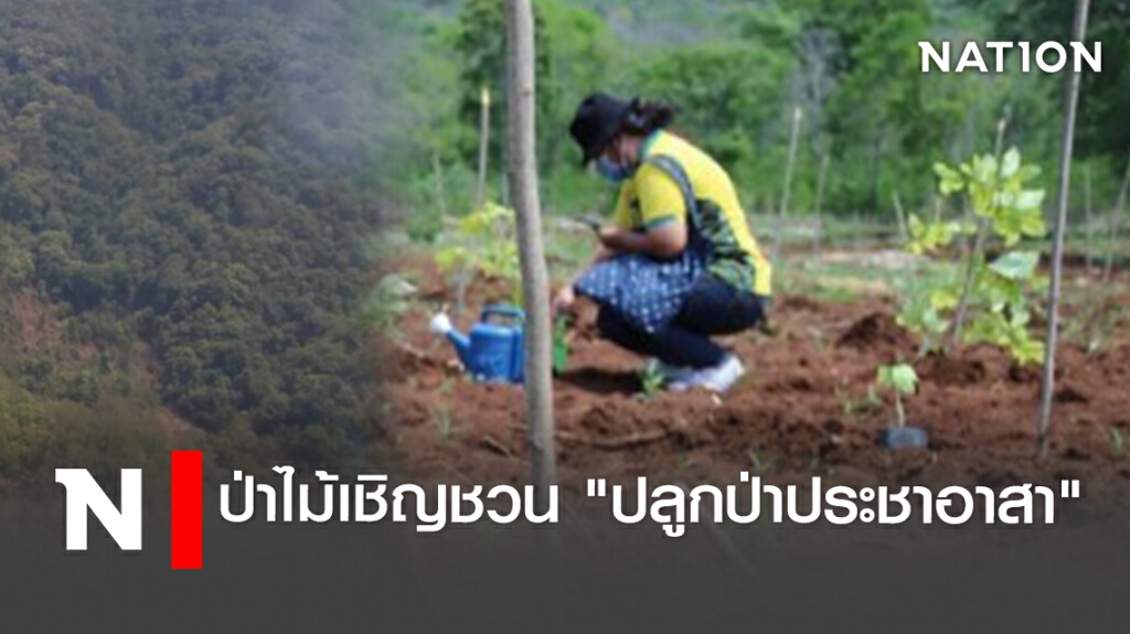 ป่าไม้เชิญชวน "ปลูกป่าประชาอาสา"