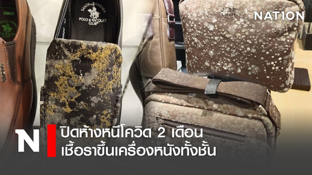 ปิดห้างหนีโควิด 2 เดือน เชื้อราขึ้นเครื่องหนังทั้งชั้น