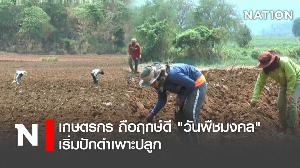 เกษตรกร ถือฤกษ์ดี "วันพืชมงคล" เริ่มปักดำเพาะปลูก