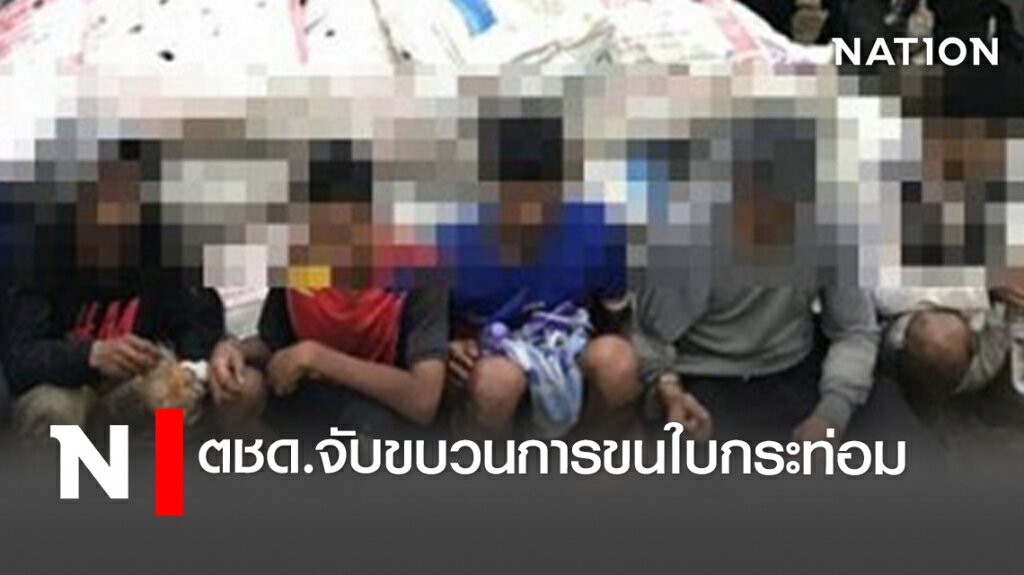ตชด.จับขบวนการขนใบกระท่อม