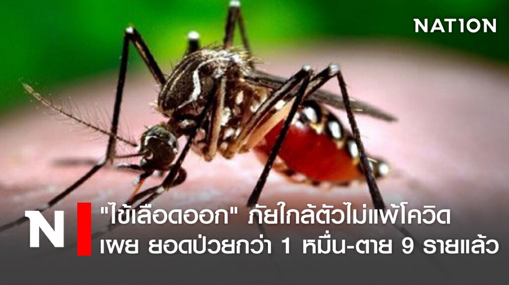 "ไข้เลือดออก"ภัยใกล้ตัวไม่แพ้โควิด เผย ยอดป่วยกว่า1หมื่น-ตาย9รายแล้ว