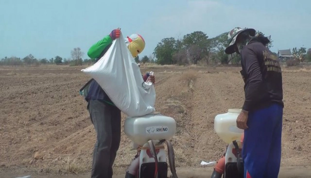 ชาวนาพิจิตรเสี่ยงหว่านข้าวแห้งรอฝน
