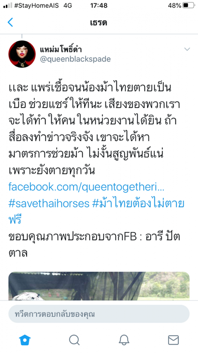 โรคระบาด ASH กาฬโรคอาฟริกาในม้า ทำ "ม้าไทย" ตายห้าร้อยตัว