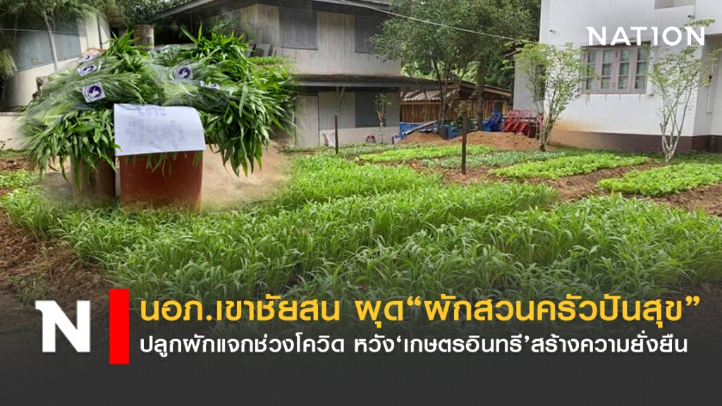 เปิดแปลง "ผักสวนครัวปันสุข" แจกฟรีช่วงโควิด!
