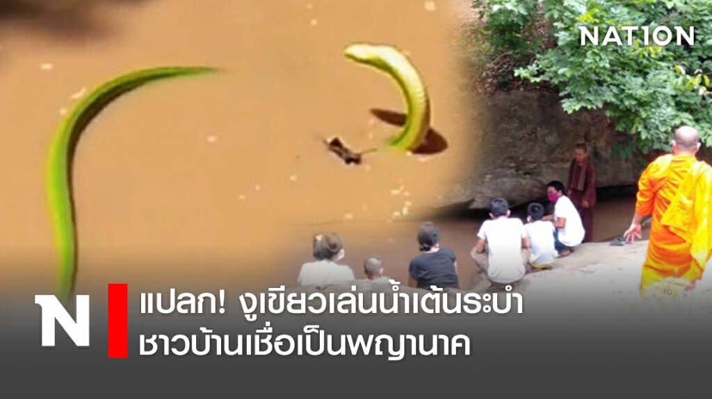 แปลก! งูเขียวเล่นน้ำเต้นระบำ ชาวบ้านเชื่อเป็นพญานาค