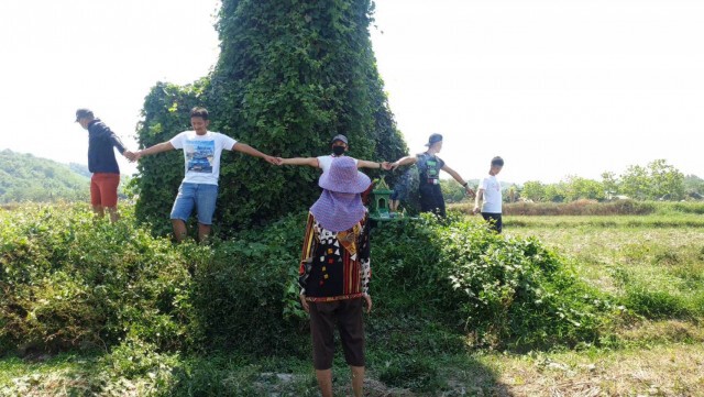 ใกล้หวยออก "ชาวบ้าน"แห่ขอเลขเด็ดจากแม่ตะเคียนอายุ100ปี