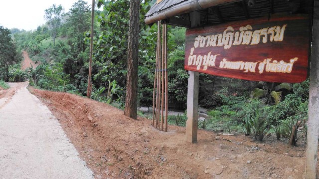 แปลก! งูเขียวเล่นน้ำเต้นระบำ ชาวบ้านเชื่อเป็นพญานาค