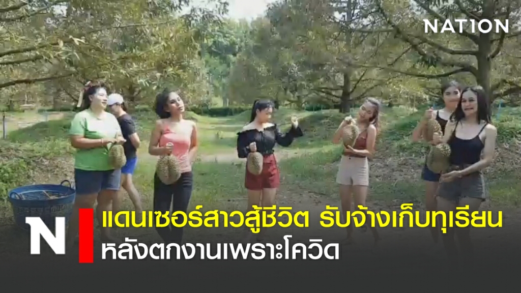 แดนเซอร์สาวสู้ชีวิตรับจ้างเก็บทุเรียน หลังตกงานเพราะโควิด