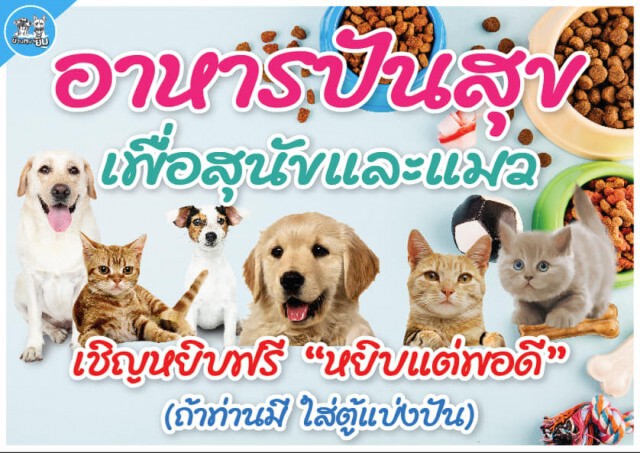 "ตู้ปันสุข" สำหรับ "น้องหมาน้องแมว" เริ่มเกิดขึ้นทั่วไทย