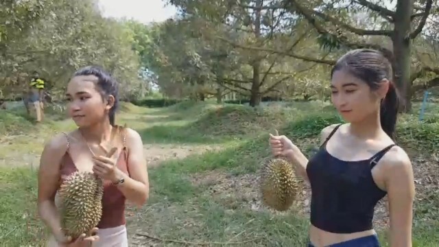 แดนเซอร์สาวสู้ชีวิตรับจ้างเก็บทุเรียน หลังตกงานเพราะโควิด
