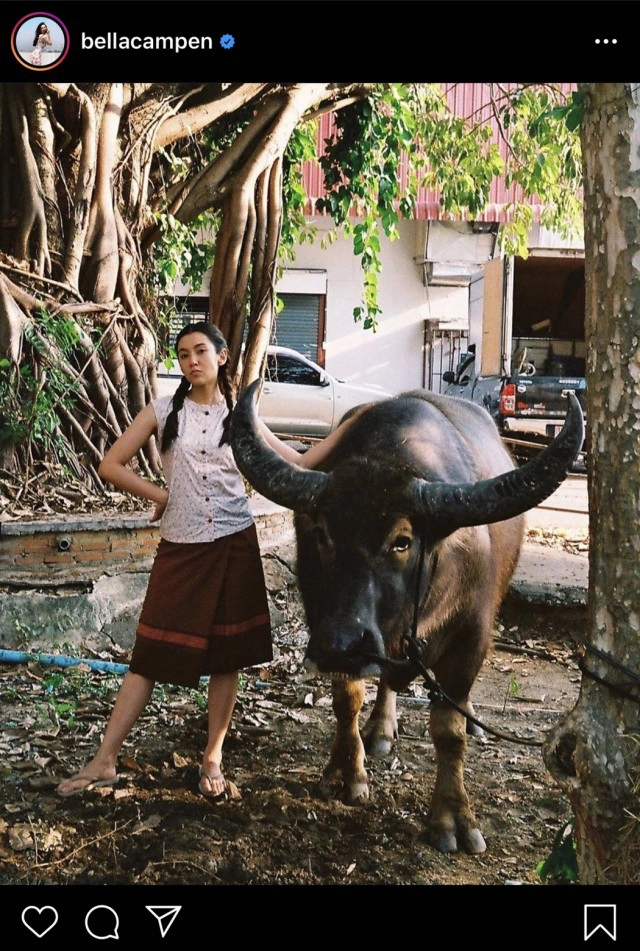 "หมอก้อง" เละ! ปากเป็นเหตุ ถาม "เบลล่า" ควายกี่ตัว?!