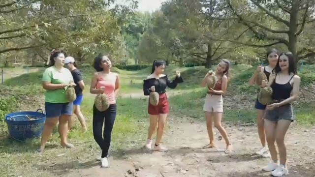 แดนเซอร์สาวสู้ชีวิตรับจ้างเก็บทุเรียน หลังตกงานเพราะโควิด