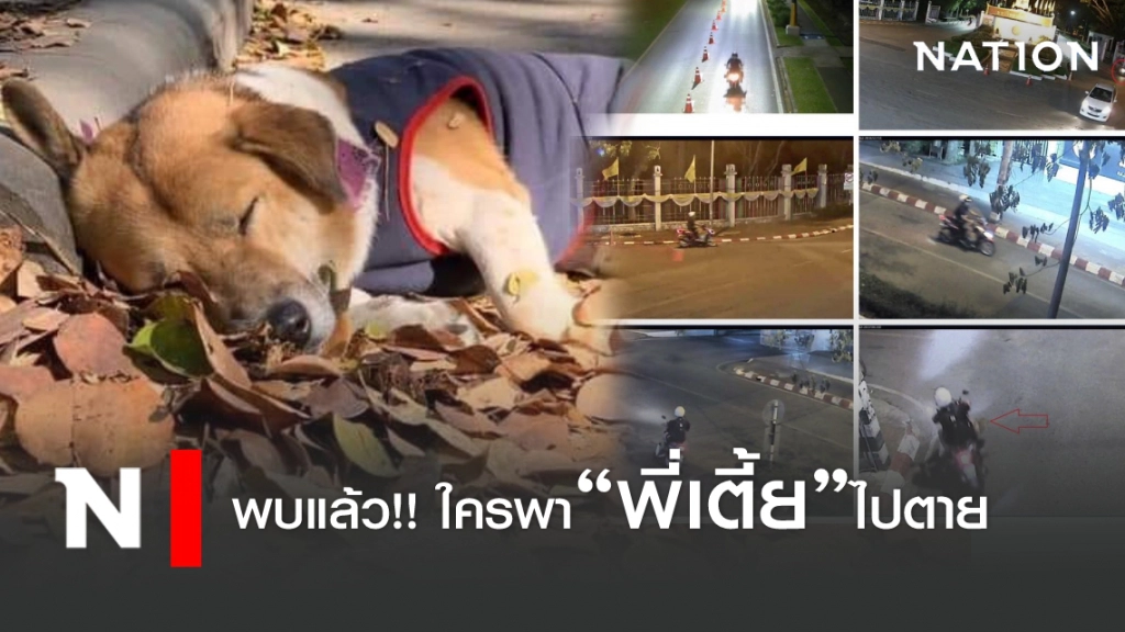 พบแล้ว!! ใครพา"พี่เตี้ย มช."ออกไปตาย