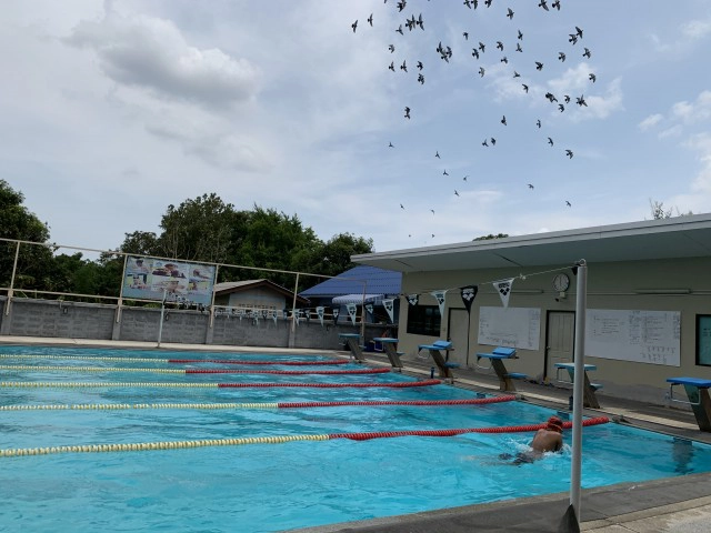 เปิดสระว่ายน้ำวันแรก กับมาตรการ Social Distancing