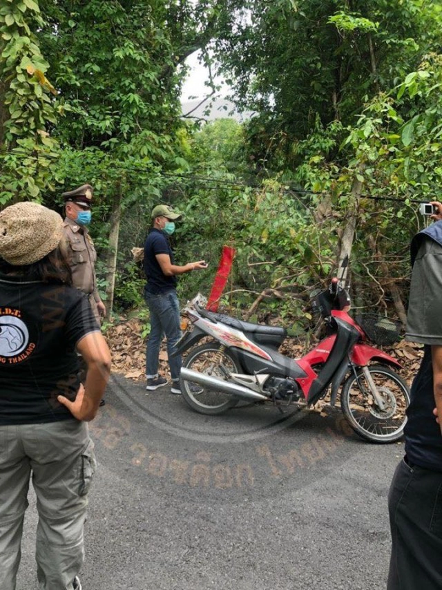 พบแล้ว!! ใครพา"พี่เตี้ย มช."ออกไปตาย