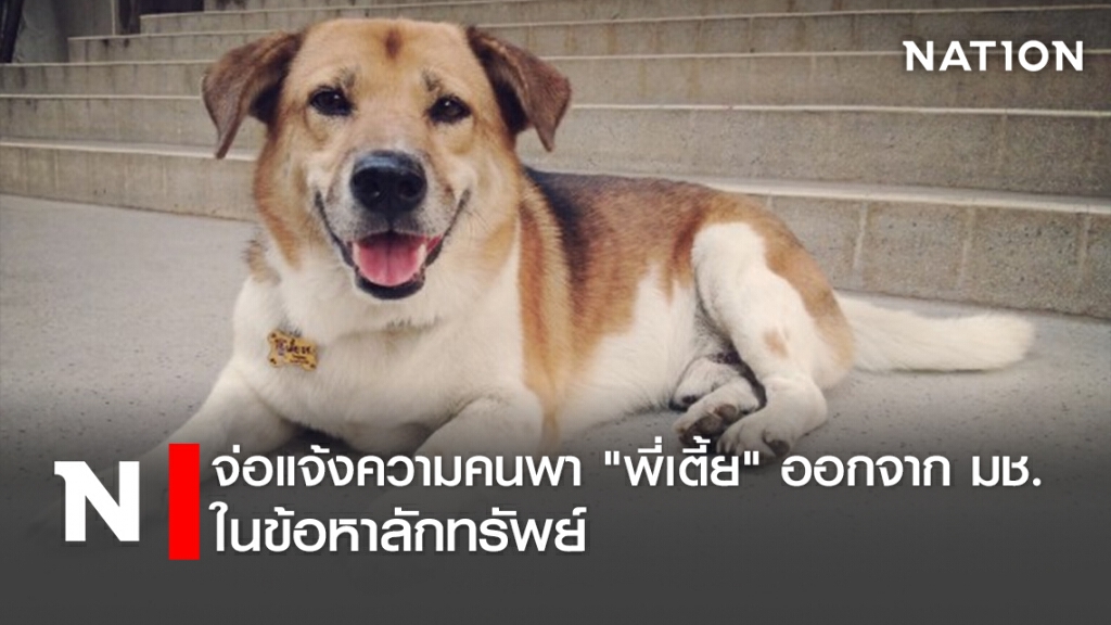 จ่อแจ้งความคนพา"พี่เตี้ย"ออกจากมช.ในข้อหาลักทรัพย์ จ่อแจ้งความคนพา"พี่เตี้ย"ออกจากมช.ในข้อหาลักทรัพย์