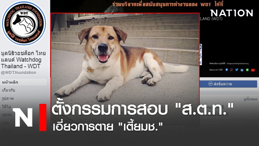 ตั้งกรรมการสอบ "ส.ต.ท." เอี่ยวการตาย "เตี้ยมช."