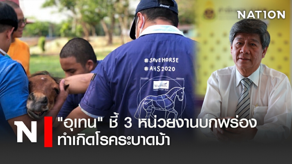 "อุเทน" ชี้ 3 หน่วยงานบกพร่องทำเกิดโรคระบาดม้า